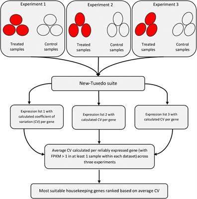 Investigation of chicken housekeeping genes using next-generation sequencing data